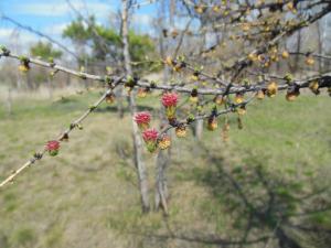 DSCN1427_1024