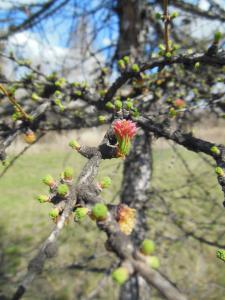 DSCN1429_1024