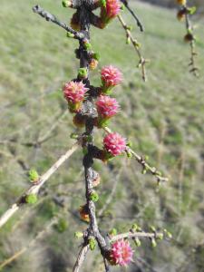 DSCN1437_1024