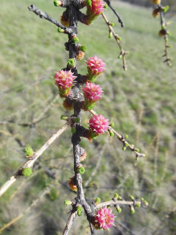 DSCN1437_1024