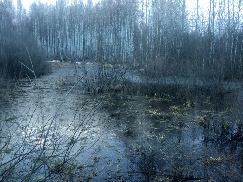 DSC07896