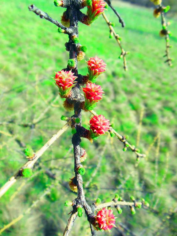 DSCN1437_1024_111