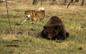 DSC09991.JPG