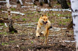 20130504_001.jpg