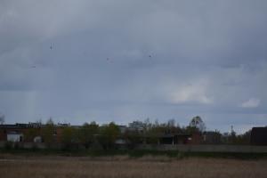 DSC_2333.JPG