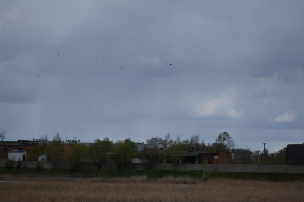 DSC_2333.JPG