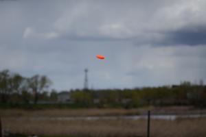 DSC_2360.JPG