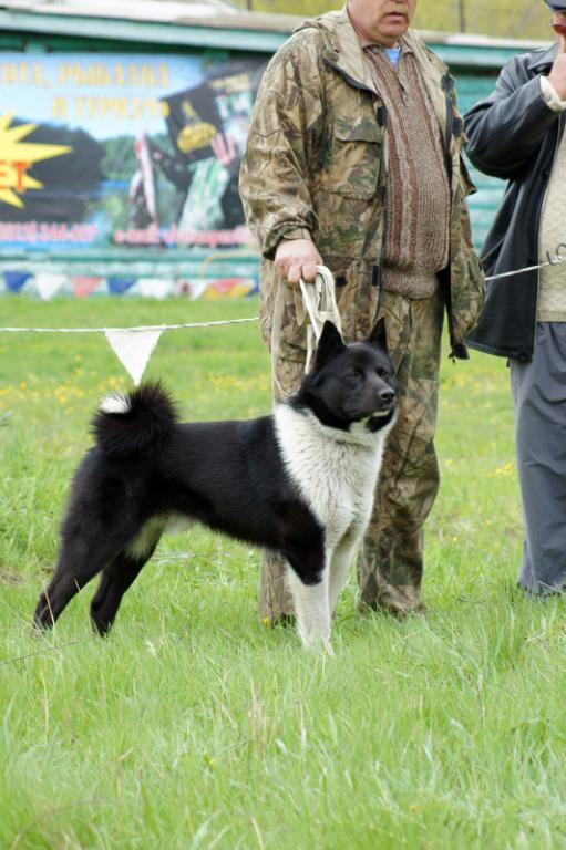 DSC00241.JPG