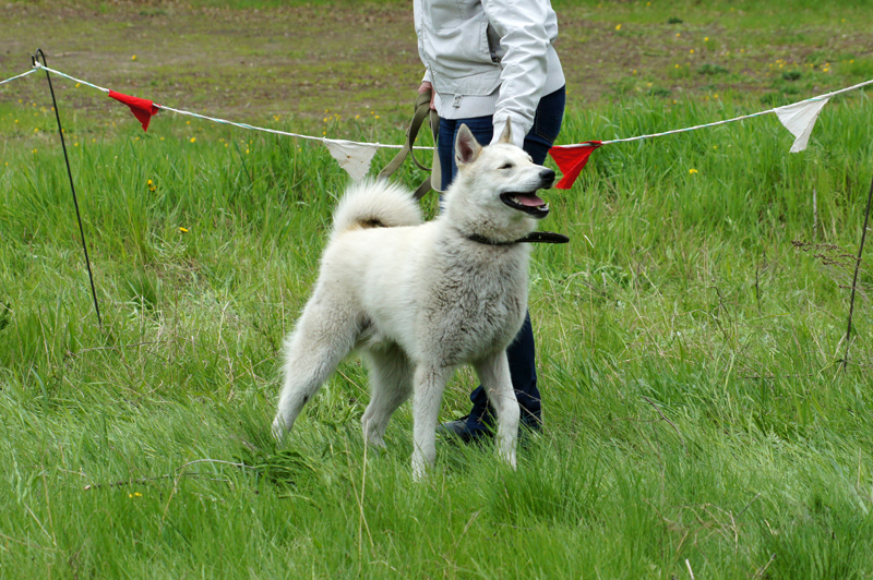 DSC00263.JPG