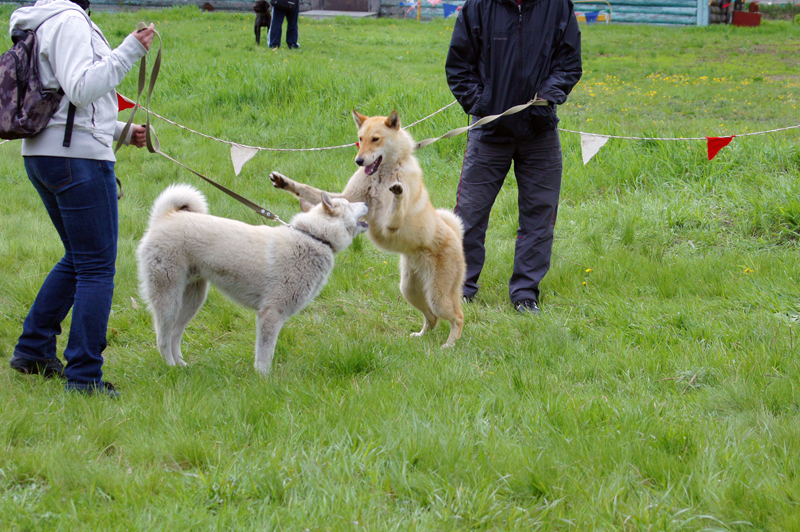 DSC00314.JPG
