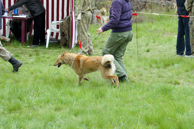 DSC00354.JPG