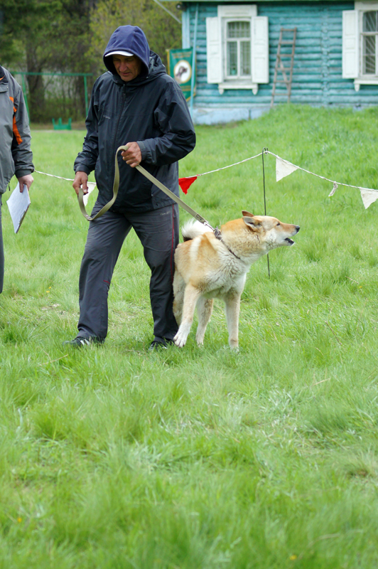 DSC00446.JPG