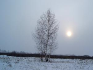 -30С, январь 2010.