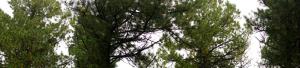 DSC09090.JPG