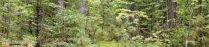 DSC09092.JPG