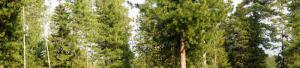 DSC09107.JPG