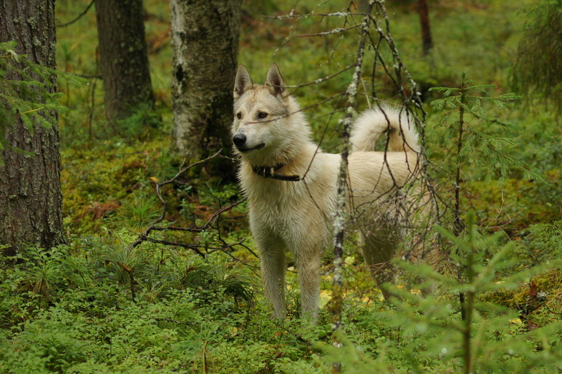 DSC09121.JPG
