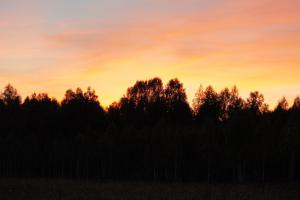 DSC09256.JPG
