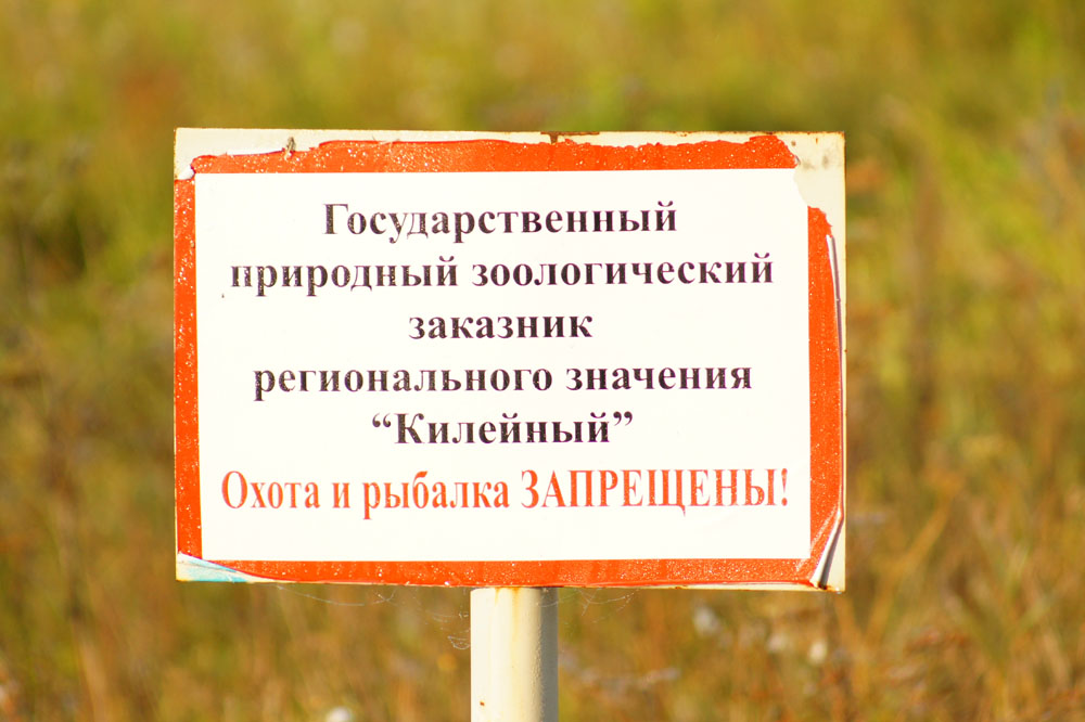 DSC09260.JPG