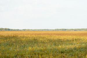 DSC09262.JPG