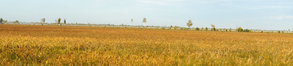 DSC09278.JPG