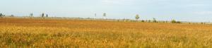 DSC09278.JPG