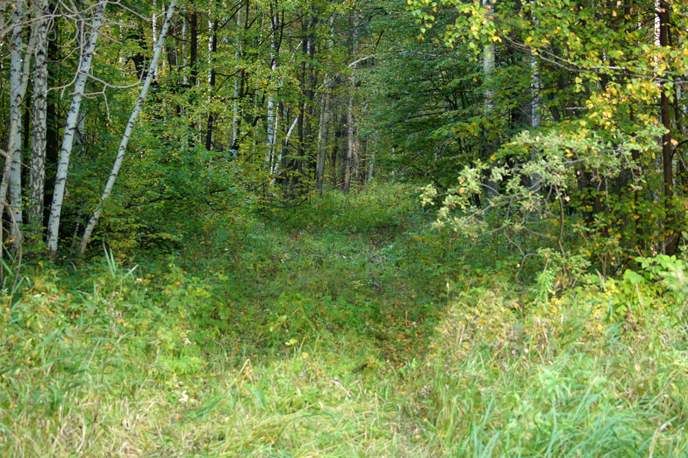 DSC09287.JPG