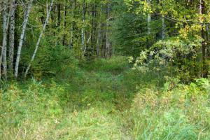 DSC09287.JPG