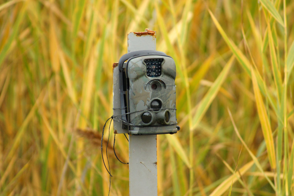 DSC09312.JPG