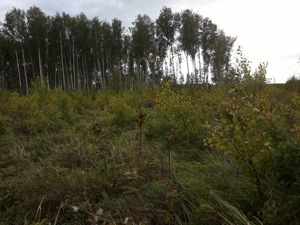 11092013221