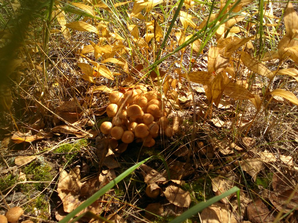 08092013210