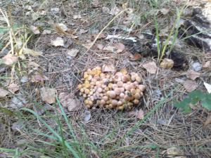 08092013211