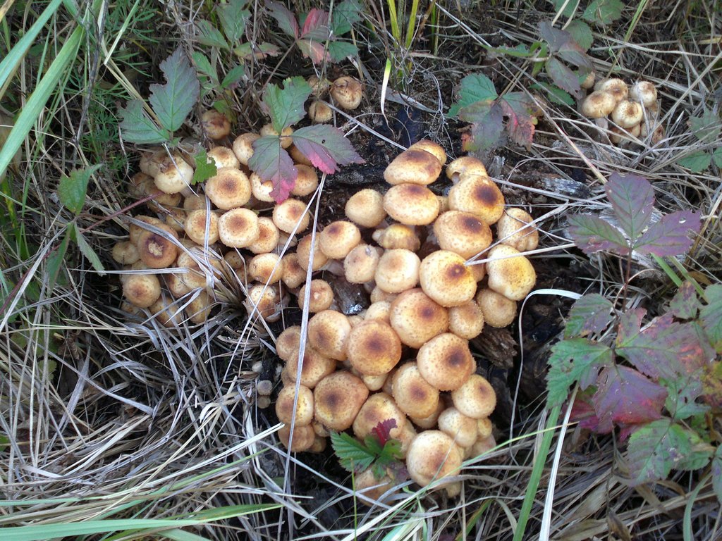 11092013223