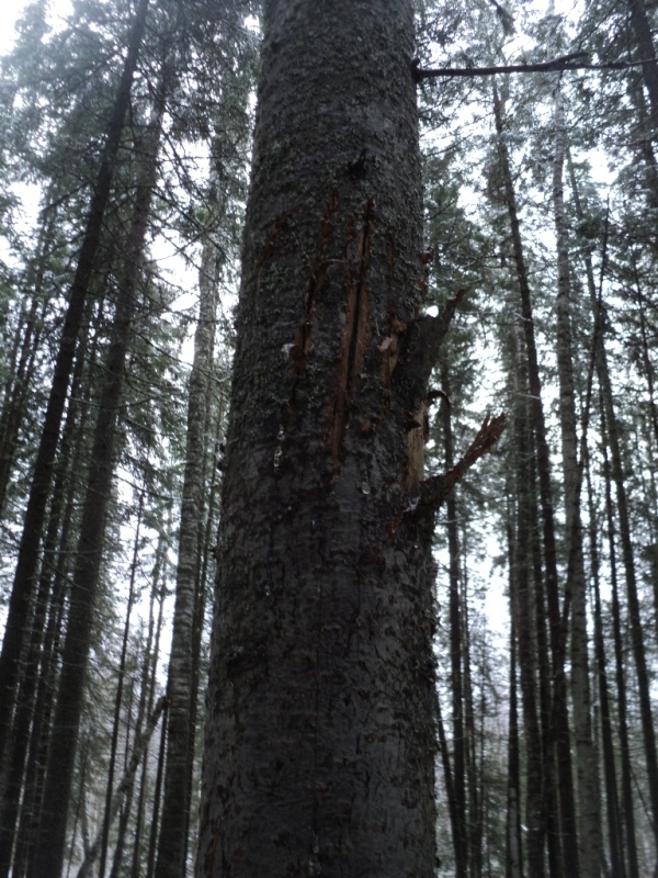 DSC00007.JPG
