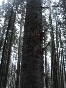 DSC00007.JPG