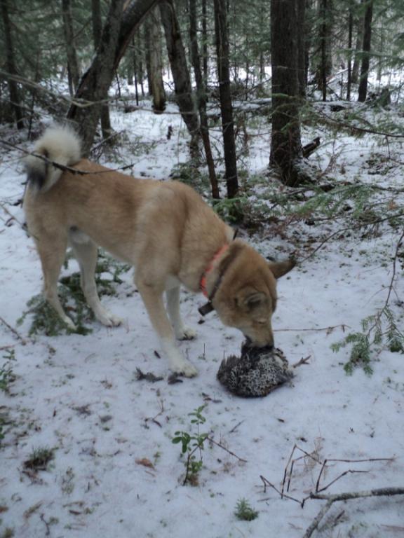 DSC00042.JPG