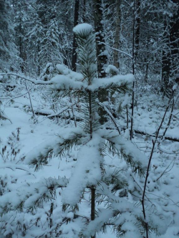 DSC00053.JPG