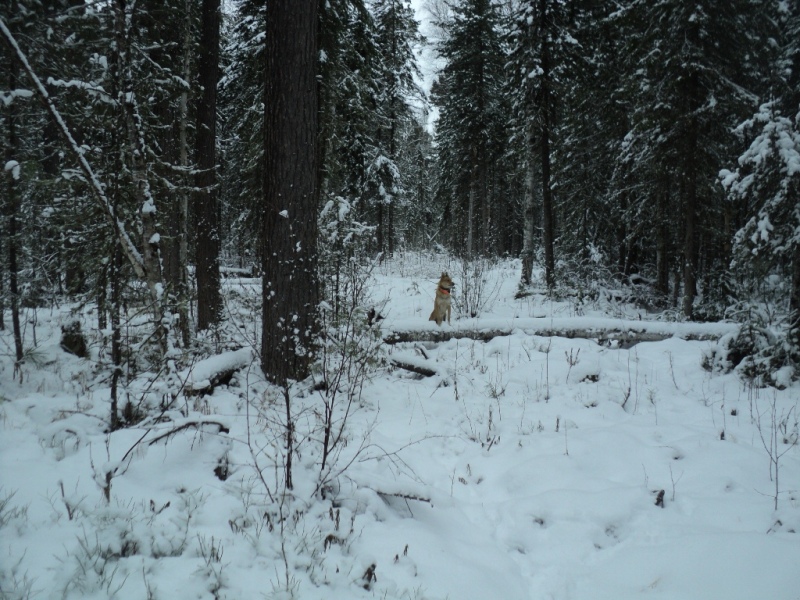 DSC00060.JPG