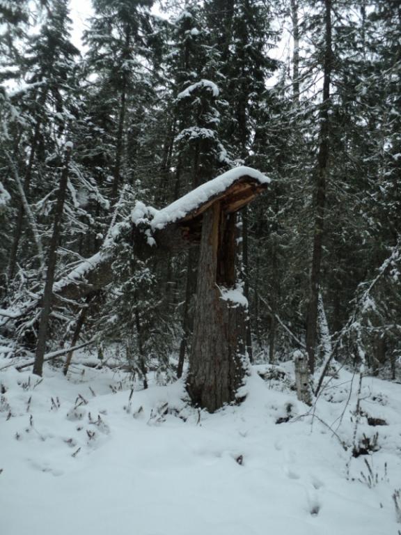 DSC00072.JPG