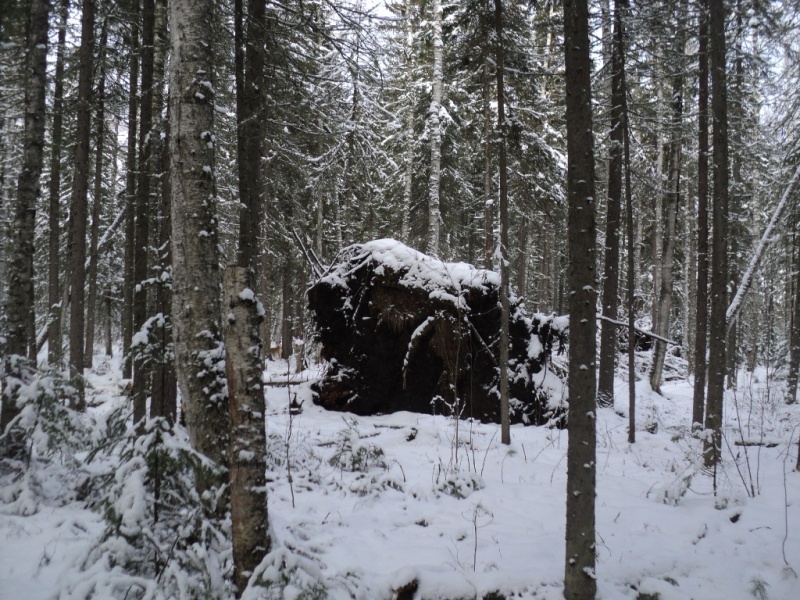DSC00073.JPG