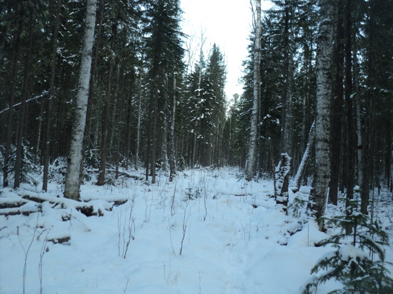 DSC00087.JPG