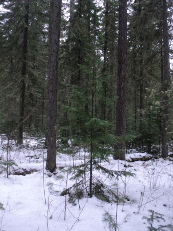 DSC00113.JPG