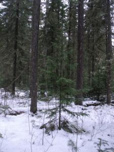 DSC00113.JPG