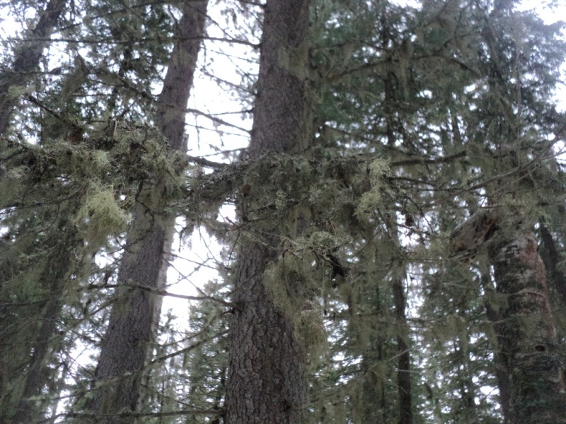 DSC00114.JPG