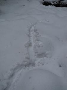 DSC00116.JPG