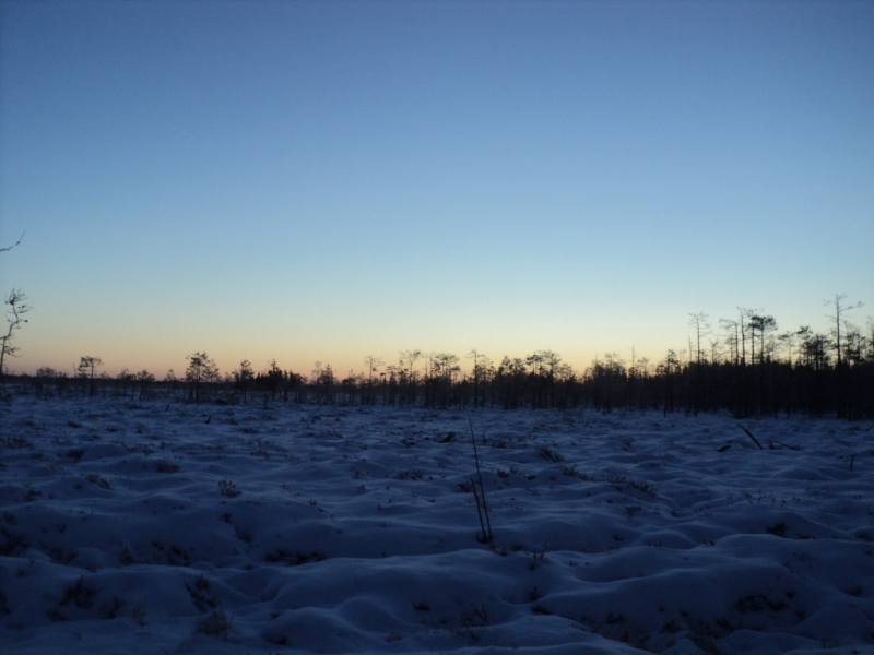 DSC00128.JPG
