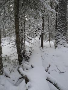 DSC00134.JPG