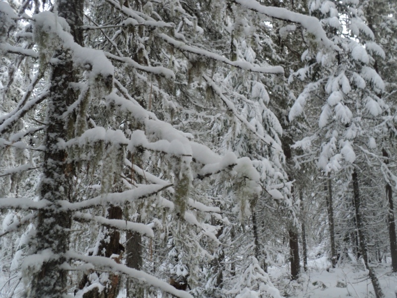 DSC00135.JPG