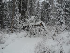 DSC00145.JPG