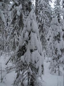 DSC00150.JPG
